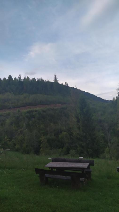 Родинна Оселя Slavske Esterno foto