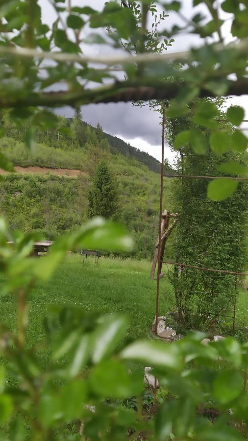 Родинна Оселя Slavske Esterno foto