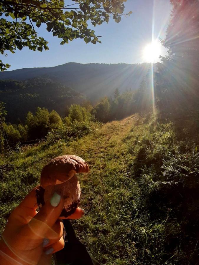 Родинна Оселя Slavske Esterno foto