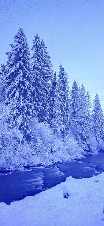 Родинна Оселя Slavske Esterno foto